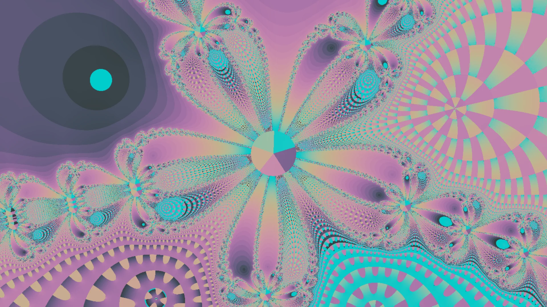 Newton Fractal visualization