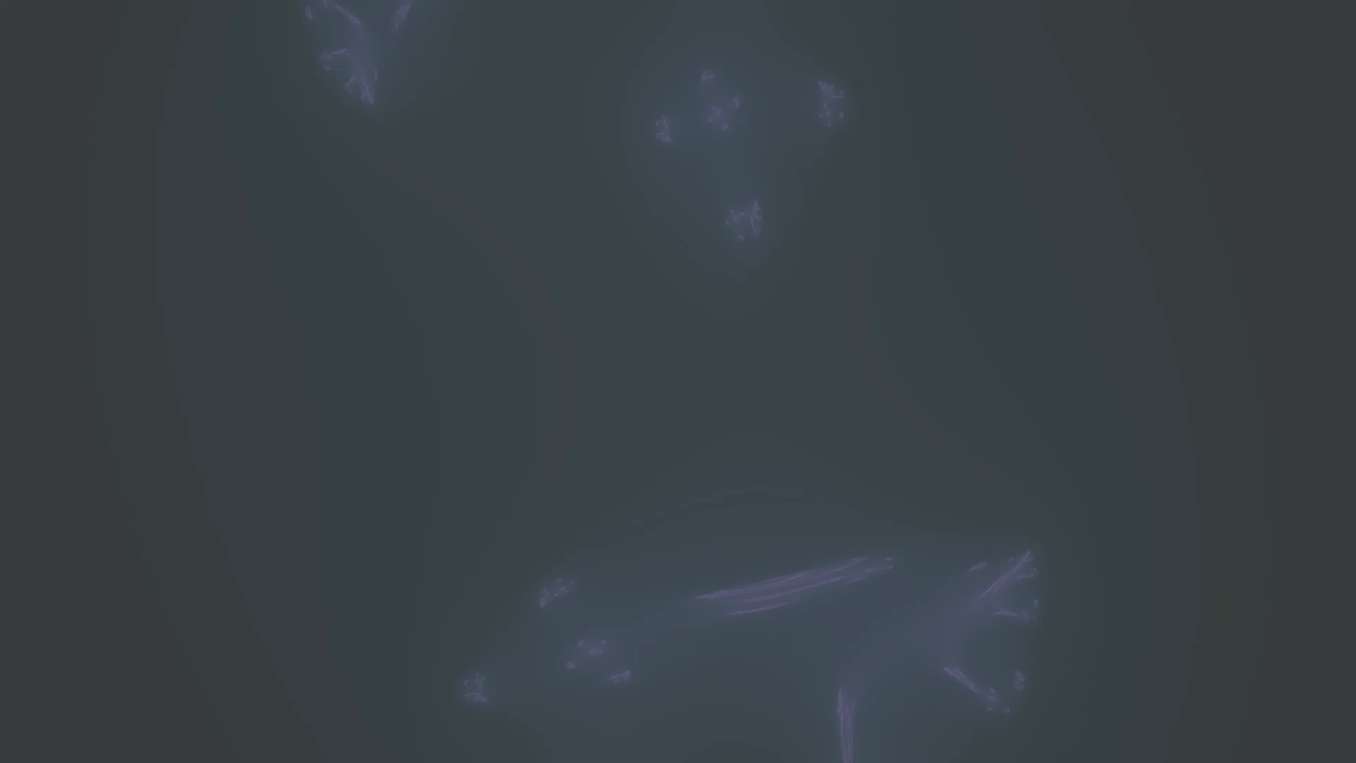 Phoenix Fractal visualization